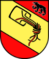Bern coat of arms with Chaosknoten